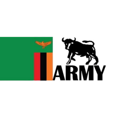 Logo 11